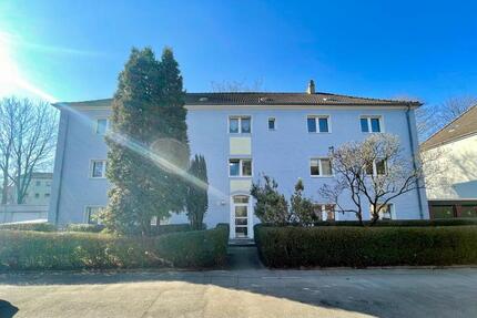 2 Zimmer Wohnung mit offener Küche zimmer