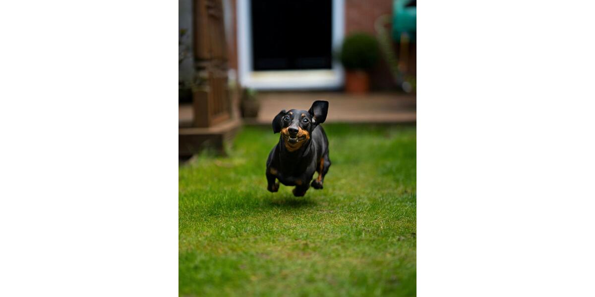 Bauen mit Vertrauen: Die Zukunft für Ihre Familie 5 zimmer