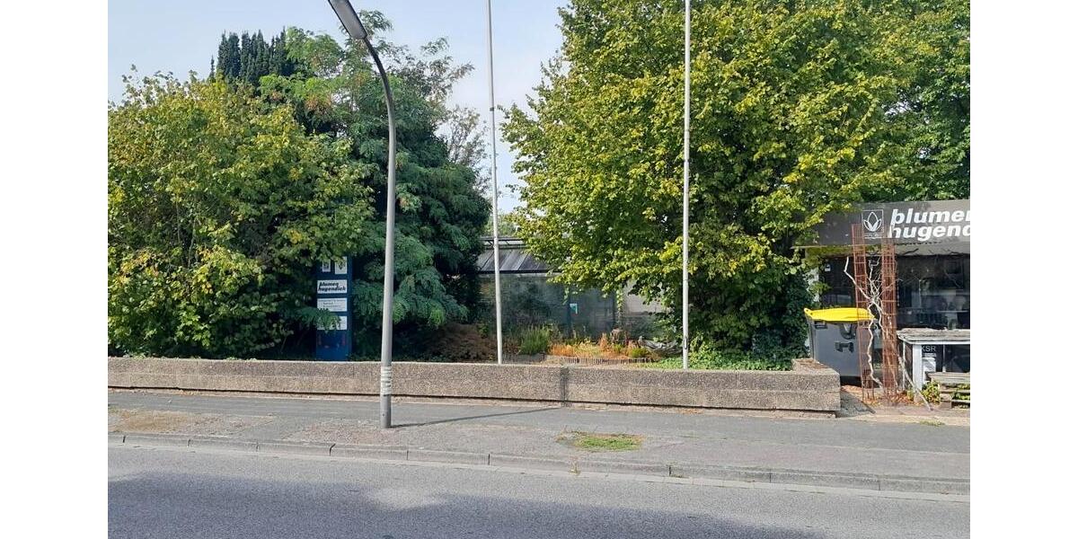 Einfamilienhaus Recklinghausen König Ludwig - 10 Zimmer, 240 m&sup2;, 330.000&euro; | Angebot:27426524