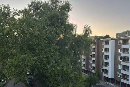 Anfragestopp! - 3 Zimmer Wohnung in ruhiger Sackgassenlage zu vermieten 3 zimmer