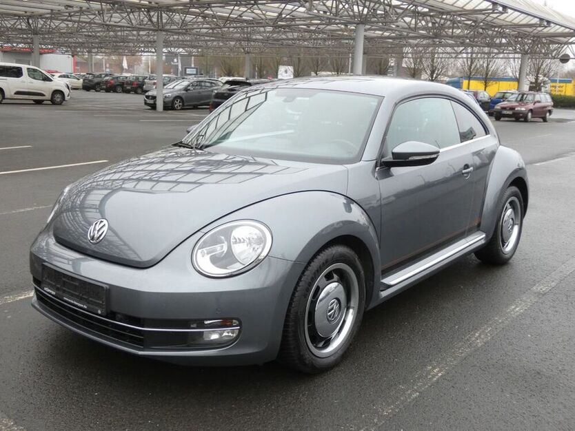 Beetle