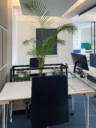 Büro in Bochum 180 € 8 m² zimmer