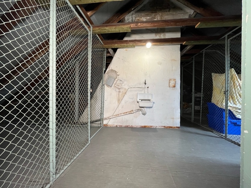 Familien aufgepasst! Geräumige 6-Zimmer-Etagenwohnung mit 2 Bädern & 2 Balkonen am Dortmund Hafen 6 zimmer