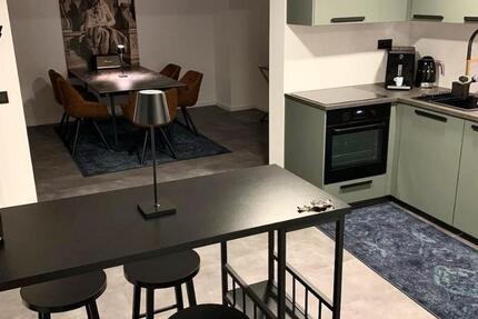 Penthouse Loft möbliert im Luisemviertel 4 zimmer