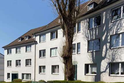 Wohnung zum Mieten in Wuppertal 528 € 62 m² 2 zimmer