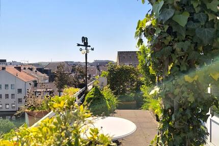 Große Wohnung mit sehr großer Dachterrasse