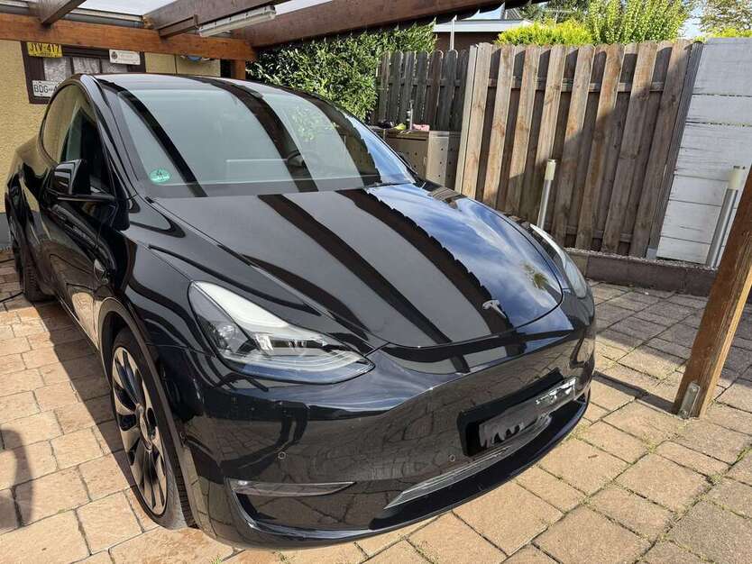 Model Y