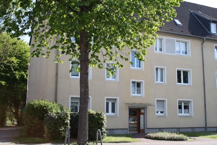 Etagenwohnung Bottrop Batenbrock - 2.5 Zimmer, 55 m&sup2;, 439&euro; | Angebot:25057079