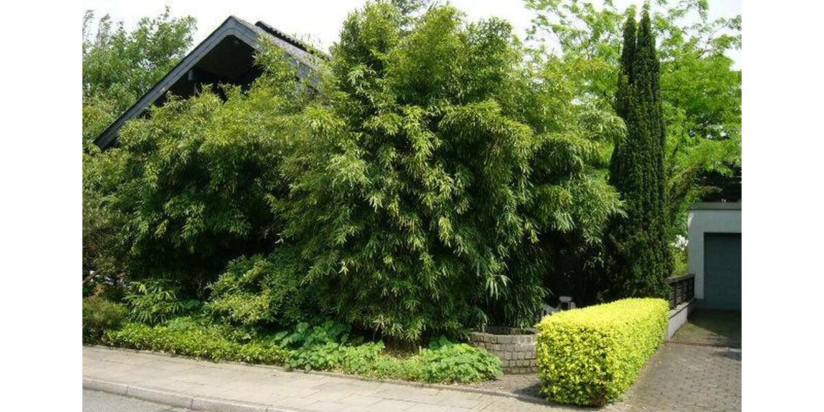 SINGLE Wohnung mit EBK in Essen 2 zimmer