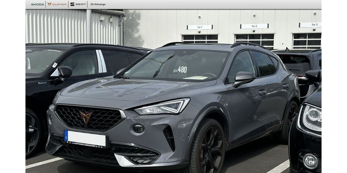 Cupra Formentor 45.255 km 28.490 &euro; Castrop-Rauxel 44579