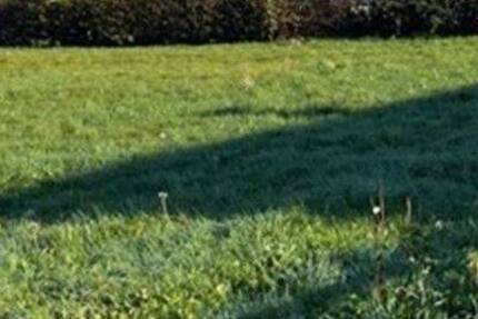 Traumgrundstück im Grünen! zimmer