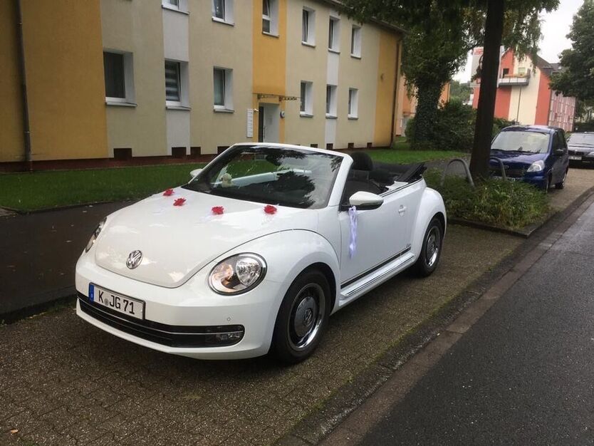 Beetle