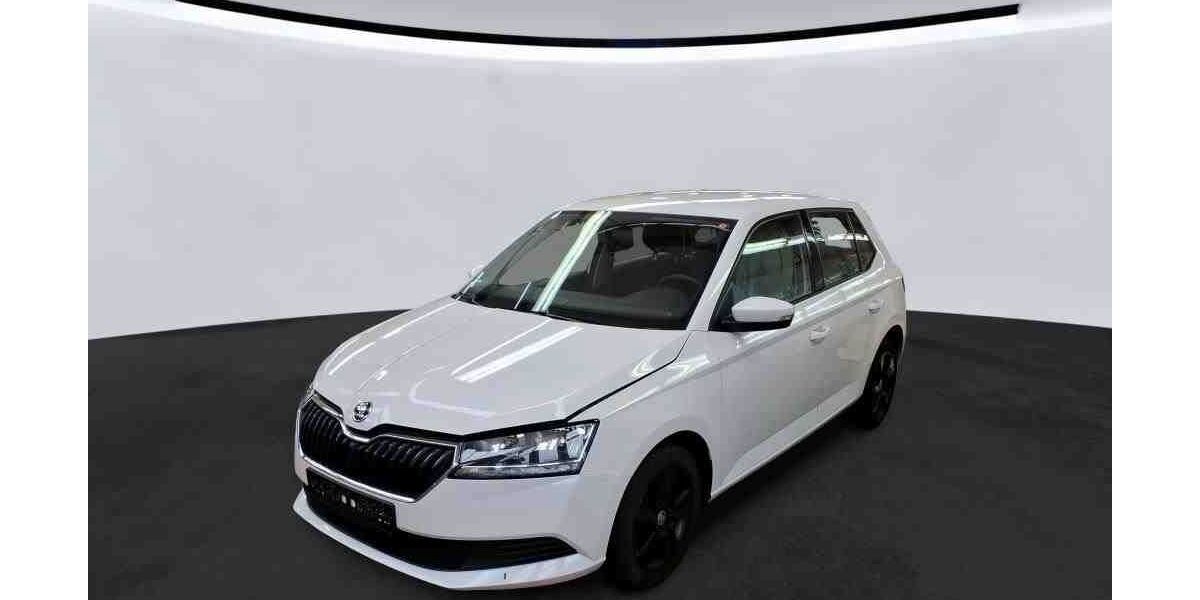 Skoda Fabia 76.443 km 12.980 &euro; Heiligenhaus 42579