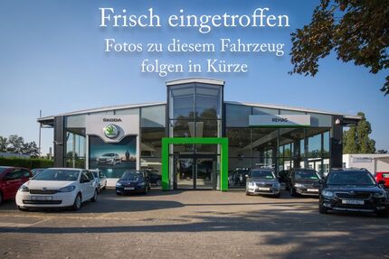 Skoda Fabia 28.373 km 14.290 &euro; Recklinghausen 45659