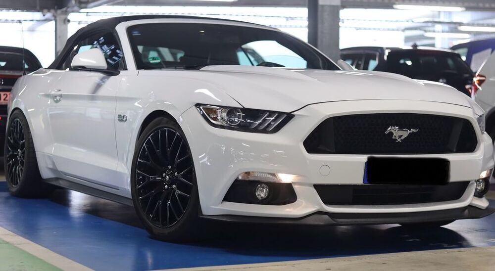 Mustang