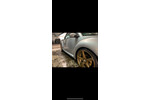 New Beetle