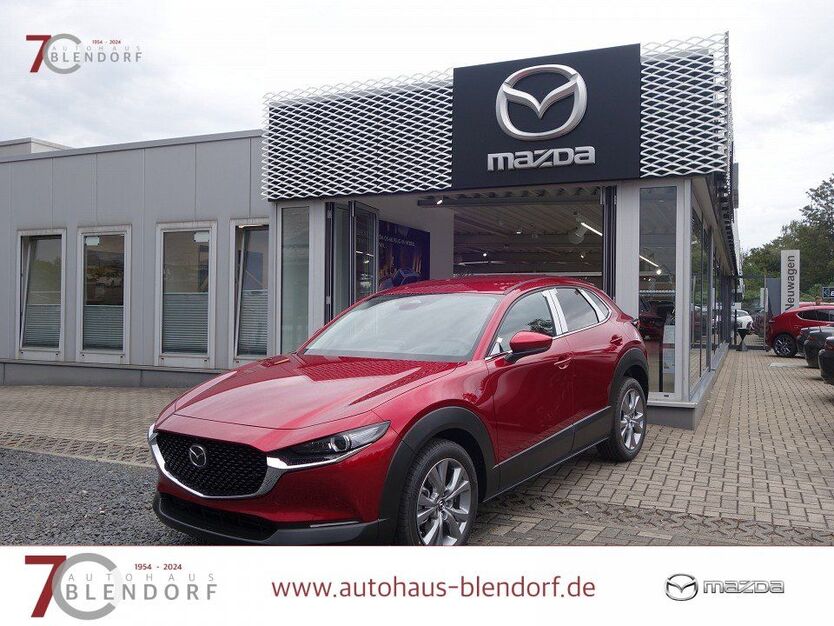 CX-30
