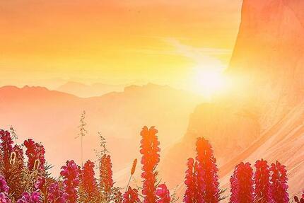 Wohnung Haltern am See - 1 Zimmer, 38 m&sup2;, 290&euro; | Angebot:25469980