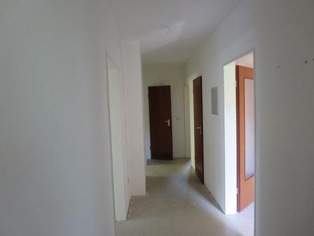 Demnächst frei! 2-Zimmer-Wohnung in Gelsenkirchen Rotthausen zimmer