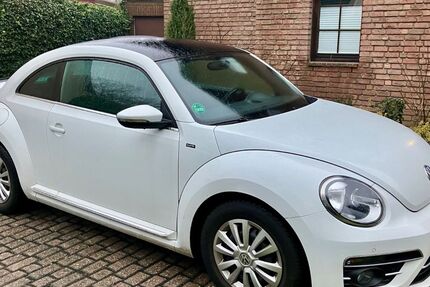 VW Beetle 116.987 km 11.500 &euro; Bottrop 46242