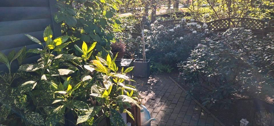 Einfamilienhaus Olfen - 89.900&euro; | Angebot:26990976
