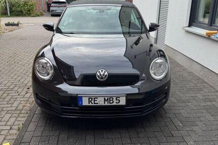 VW Beetle