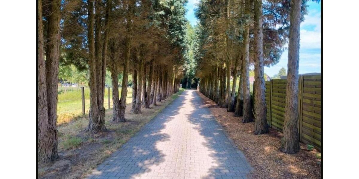 Ländliche Wohnung in Kirchhellen zimmer