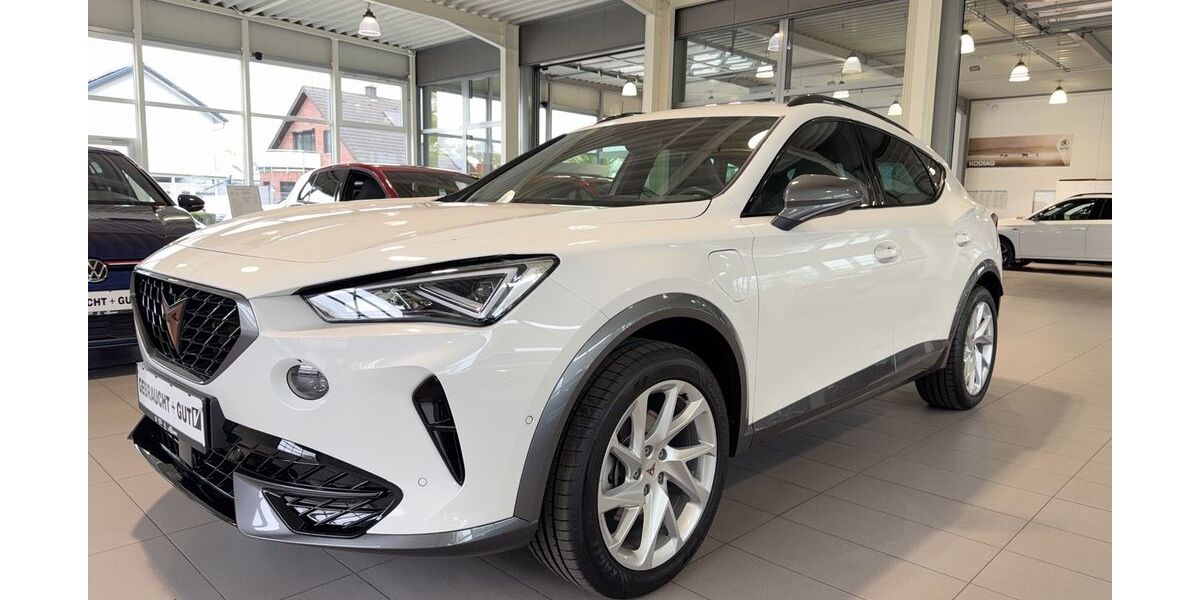 Cupra Formentor 22.080 km 25.750 &euro; Hünxe 46569