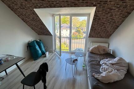 Wohnung Dortmund Brackel - 1 Zimmer, 30 m&sup2;, 410&euro; | Angebot:26164558