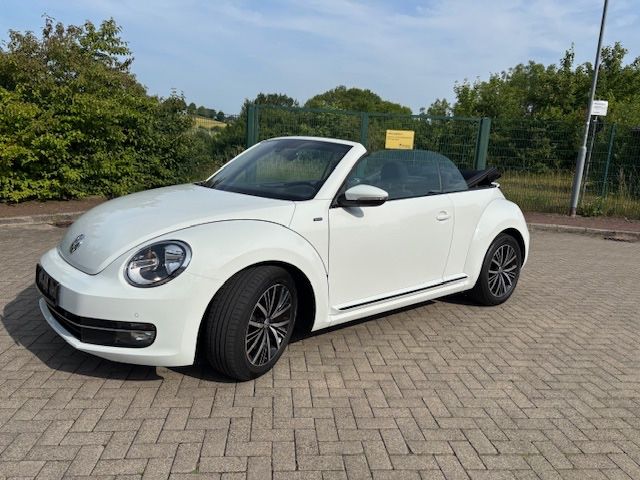 Beetle