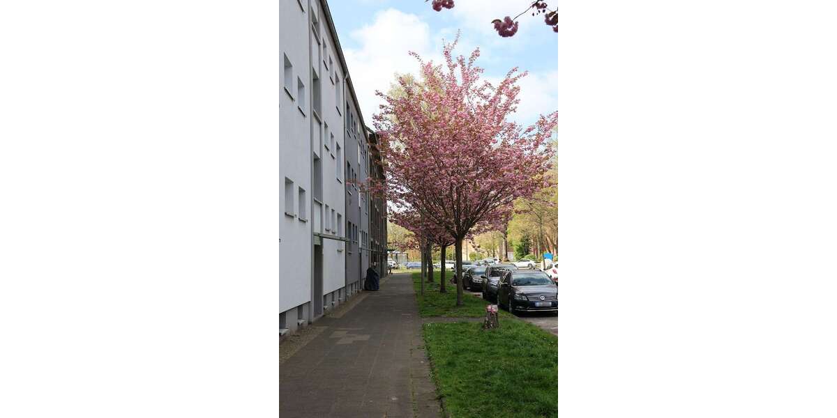 Etagenwohnung Herne Wanne-Bickern - 2.5 Zimmer, 66 m&sup2;, 442&euro; | Angebot:27112197