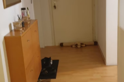 Wohnung Gelsenkirchen Gelsenkirchen-Nord - 3 Zimmer, 55 m&sup2;, 360&euro; | Angebot:25433317