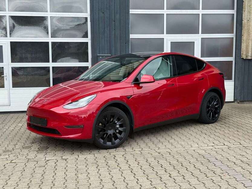 Model Y