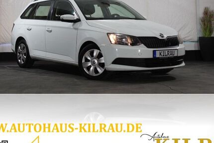 Skoda Fabia 130.000 km 8.899 € Mettmann 40822