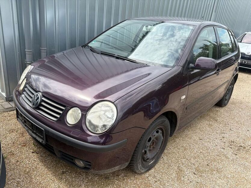 Polo