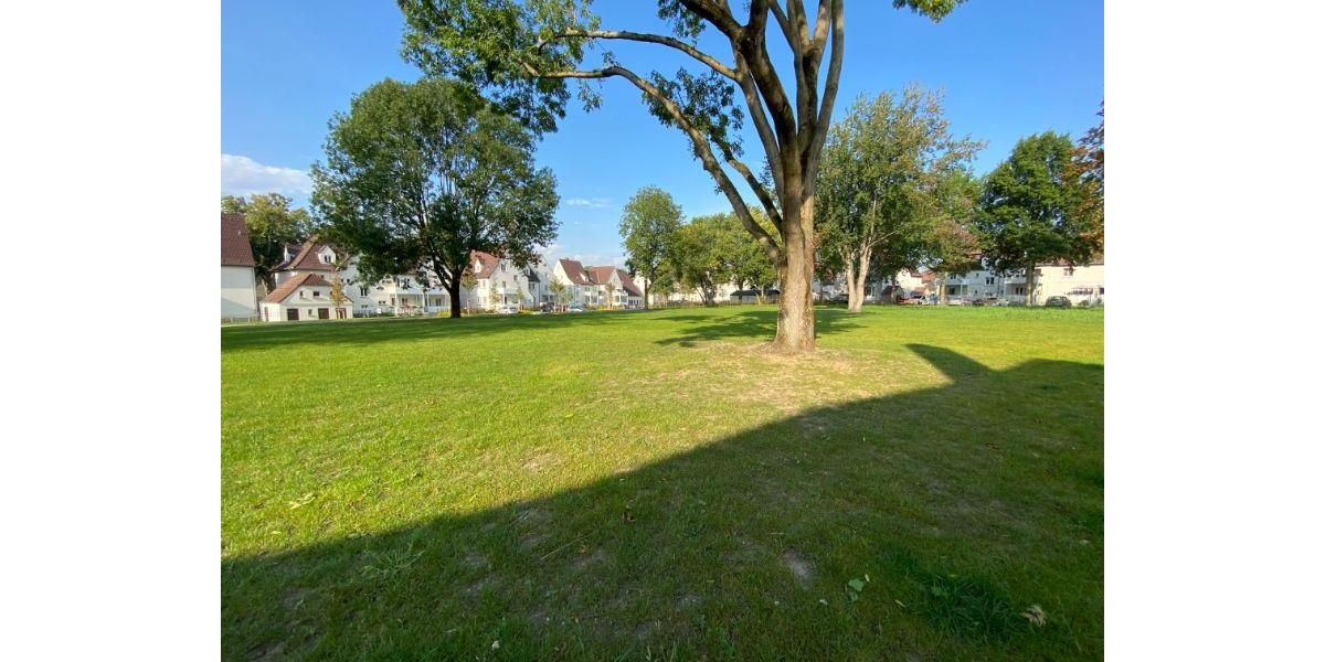 Etagenwohnung Gelsenkirchen Erle - 2.5 Zimmer, 66 m&sup2;, 346&euro; | Angebot:19616233