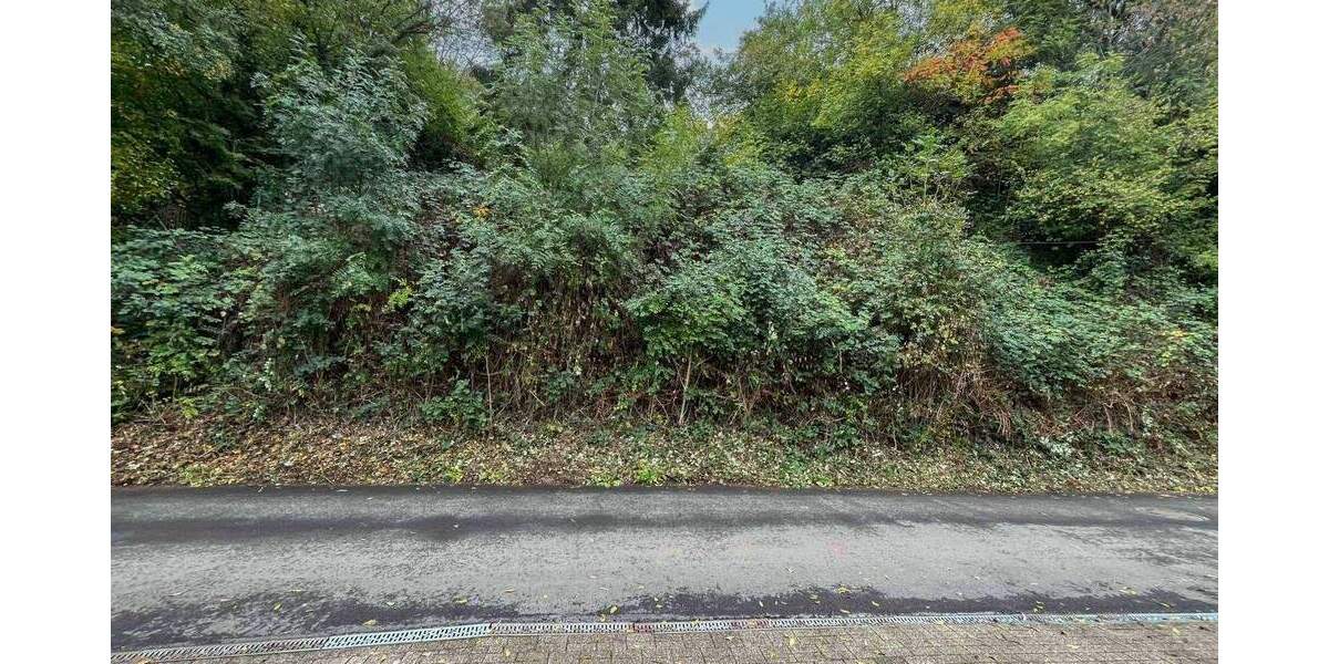 Baugrundstück mit Baugenehmigung für Einfamilienhaus in attraktiver Hanglage - Mülheim an der Ruhr zimmer