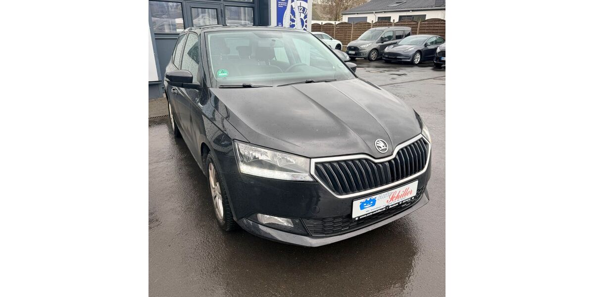 Skoda Fabia 52.100 km 10.900 &euro; Bochum 44803