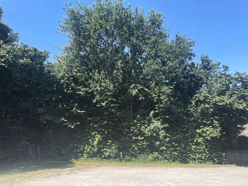 Grundstück zu verkaufen in Voerde 120.000 € 578 m²