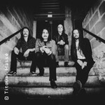 The Datsuns (NZ)