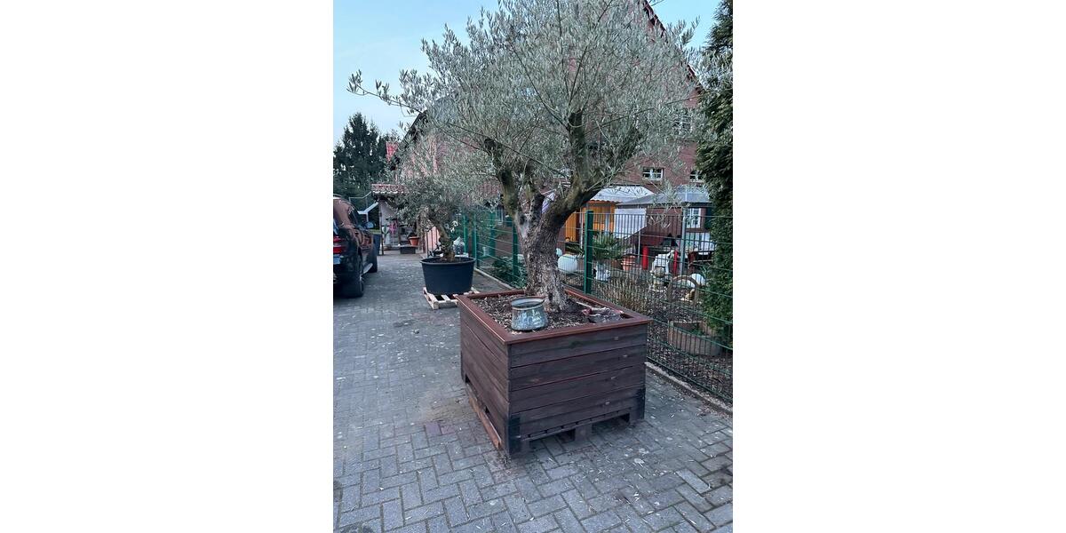 Mehrfamilienhaus, Wohnhaus Essen Stadtbezirk VII - 20 Zimmer, 570 m&sup2;, 1.600.000&euro; | Angebot:25612813