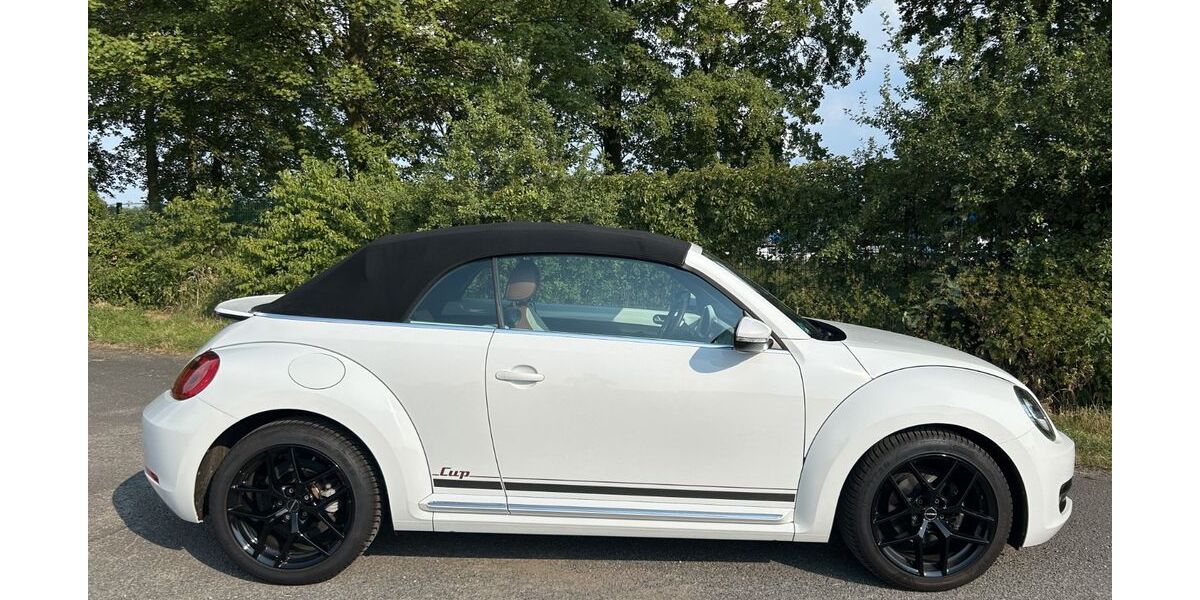 VW Beetle 59.300 km 14.600 &euro; Recklinghausen 45657