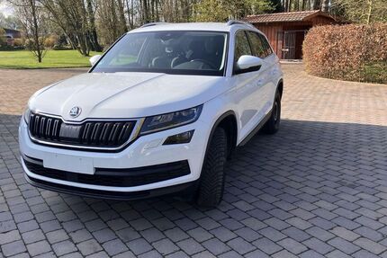 Skoda Kodiaq 167.000 km 19.400 &euro; Waltrop 45731