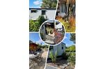 Bungalow Dorsten Altstadt - 94.000&euro; | Angebot:25419126