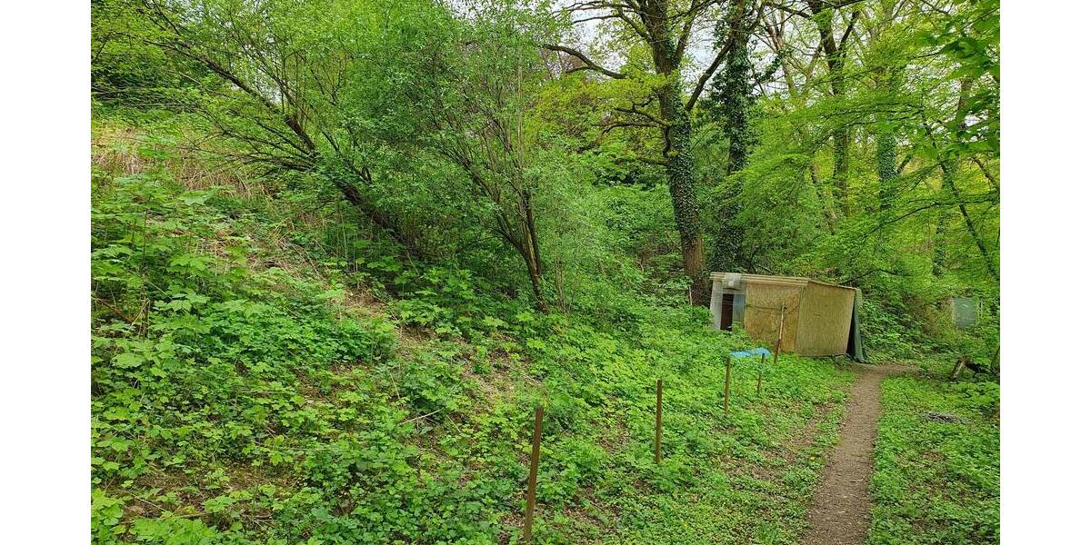 Mehrfamilienhaus, Wohnhaus Velbert Mitte - 9 Zimmer, 220 m&sup2;, 579.000&euro; | Angebot:24873220