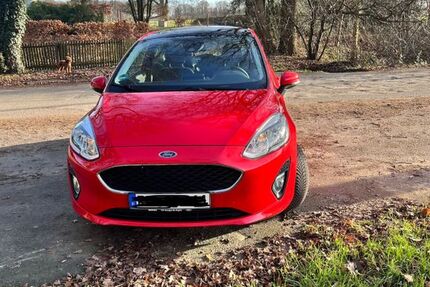Ford Fiesta 100.100 km 8.700 &euro; Recklinghausen 45657
