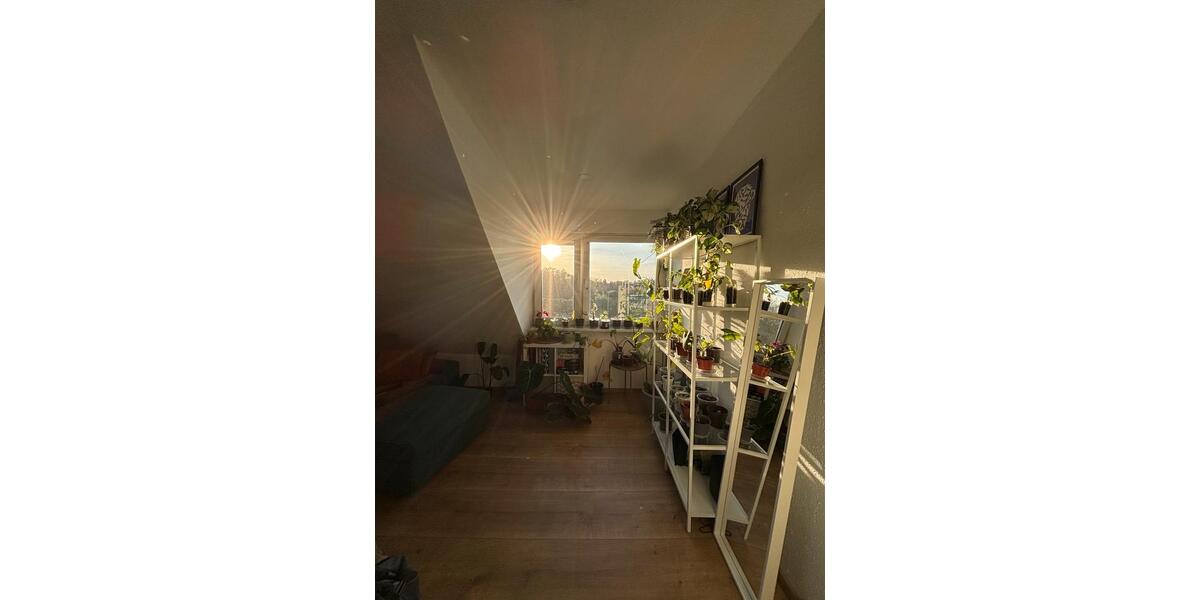 Dachgeschoßwohnung Dortmund Bövinghausen - 2 Zimmer, 45 m&sup2;, 570&euro; | Angebot:26397862