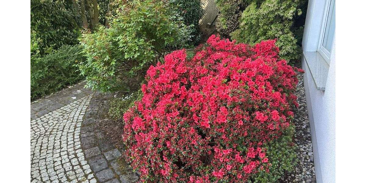 Lücklemberg *** Exklusives Mehrgenarationehaus, BJ. 1999 in Sackgassenendlage *** 9 zimmer