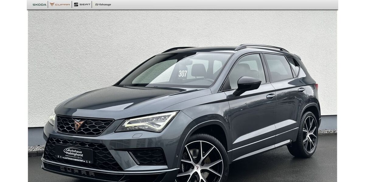 Cupra Ateca 72.785 km 27.490 &euro; Castrop-Rauxel 44579