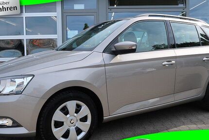 Skoda Fabia 59.500 km 12.880 &euro; Marl 45772